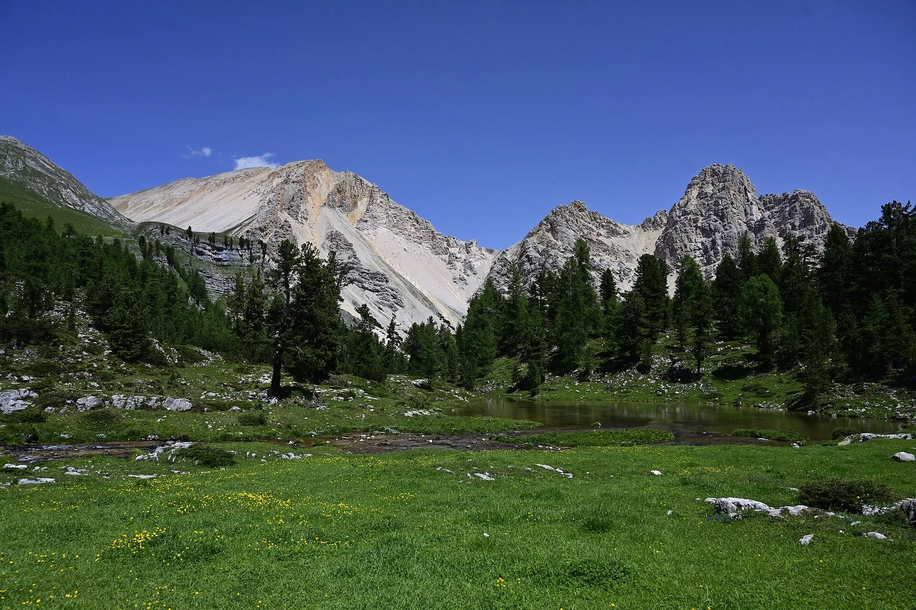 En grønn fjelleng med spredte furutrær og et lite vann foran lyse, nakne dolomittopper i Fanes-Sennes-Prags naturpark.
