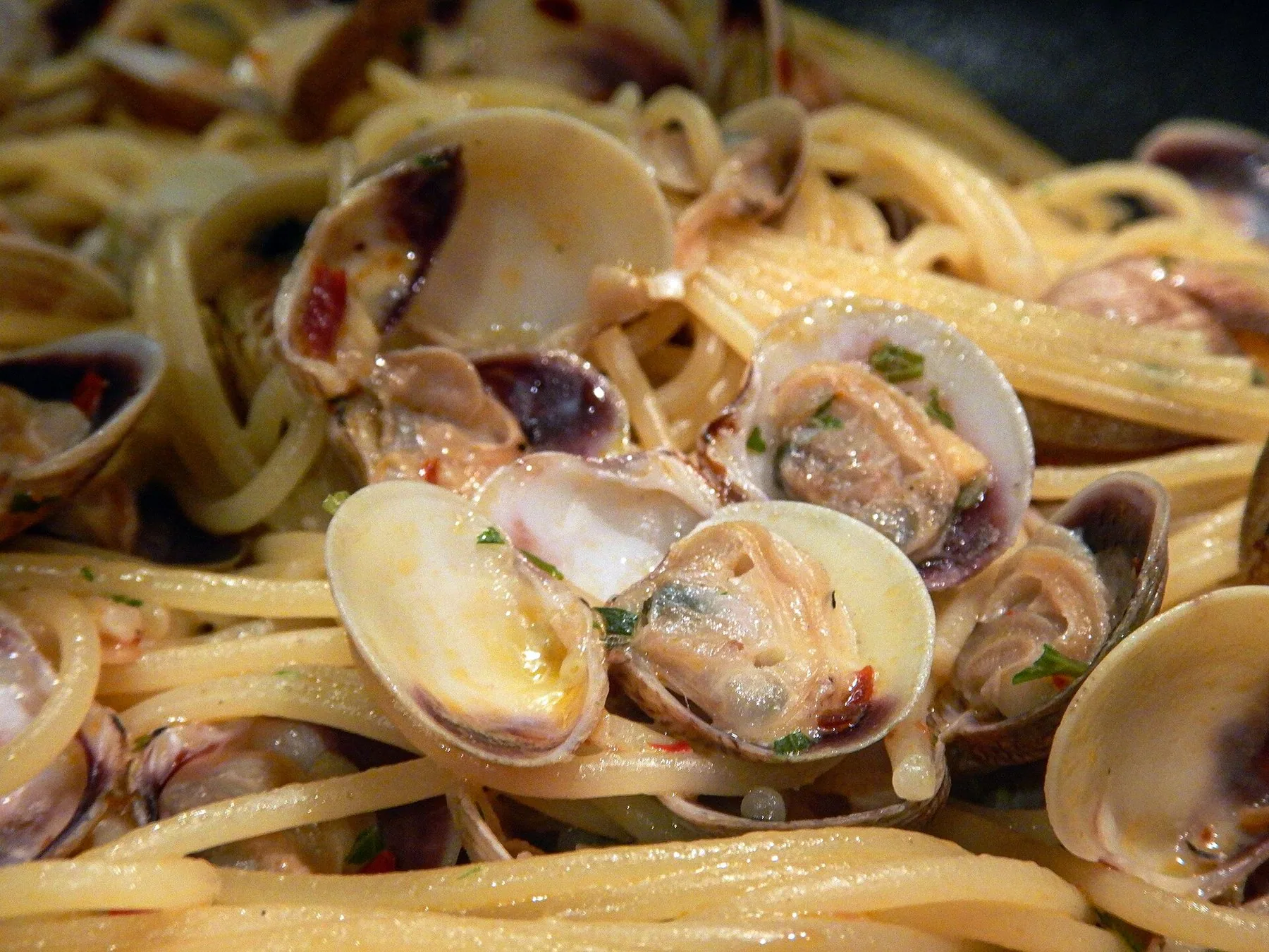 En tallerken vermicelli med små vongole-skjell i skallet, persille og olivenolje, sett tett på.