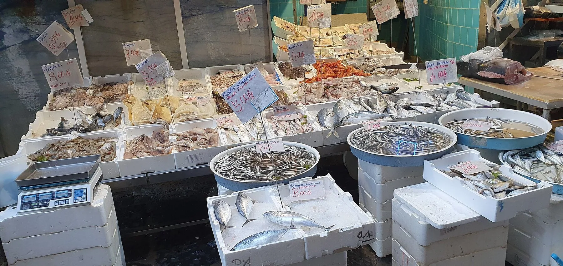 En fiskedisk med isede kasser: ansjos i runde fat, blekksprut, reker, makrell og hel fisk, med håndskrevne prisskilt i euro per kilo stukket ned i hver kasse.