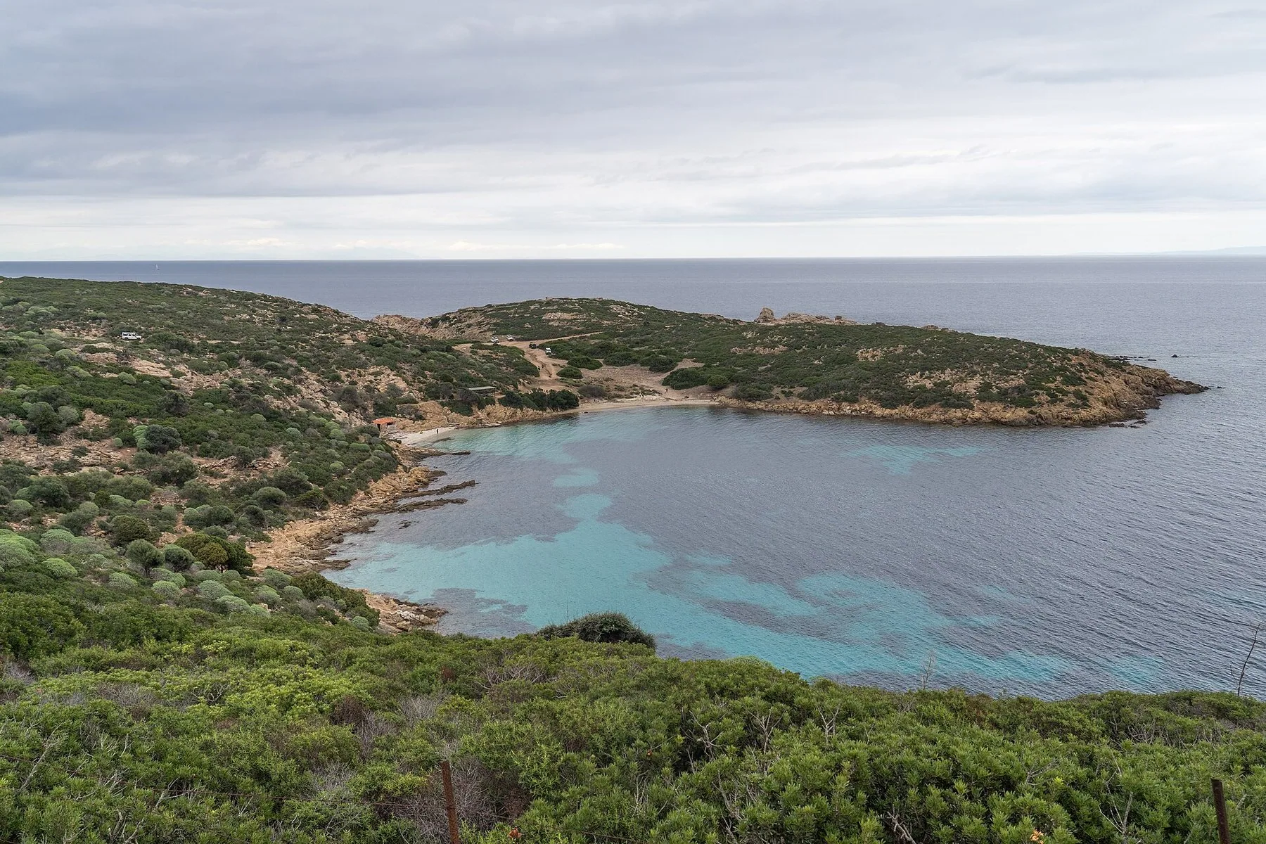 En liten bukt med turkist vann omkranset av lav, grønn makkia på Asinara, med en odde ute i havet under skyet himmel.